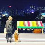 （分類：）位於 。 由 amber_coco 提交（商品編號 1222890505，圖片 1）。簡介： 。
