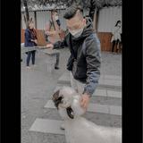 由 ab0222 (刊登 ID 1383087153，圖片 1) 提交，位於 的 (類別：)，說明：。