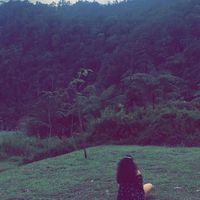 (Category: ) located in . Submitted by sherry_152 (Listing ID 1465845128, Image 1). Description: .