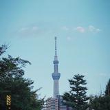 (Category: ) located in . Submitted by Yozzieee (Listing ID 1380433278, Image 1). Description: .