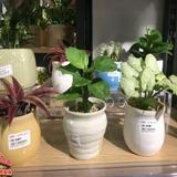 （分類：）位於 。 由 here200 提交（商品編號 1325386853，圖片 1）。簡介： 。