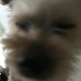 (Category: ) located in . Submitted by tayltay (Listing ID 1384242648, Image 1). Description: .