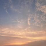 由 061074612 (刊登 ID 1383648275，圖片 1) 提交，位於 的 (類別：)，說明：。