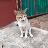 (Kategori: ) berada di . Dikirim oleh cdjadul90 (ID iklan 1372517622, Gambar 1). Deskripsi: .