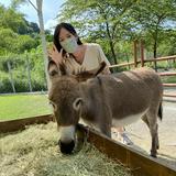 由 fes121009 (刊登 ID 1355045211，圖片 1) 提交，位於 的 (類別：)，說明：。