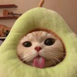 (Category: ) located in . Submitted by xinkz (Listing ID 1383287289, Image 1). Description: .
