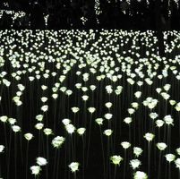 （分類：）位於 。 由 wangso2568 提交（商品編號 1315512240，圖片 1）。簡介： 。