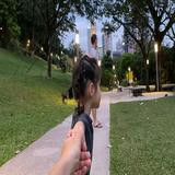 (Category: ) located in . Submitted by qianjin2046 (Listing ID 1373650931, Image 1). Description: .