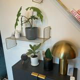 (Category: ) located in . Submitted by chingdaried (Listing ID 1326396699, Image 1). Description: .