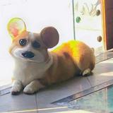 （分類：）位於 。 由 testtbdthey 提交（商品編號 1302151125，圖片 1）。簡介： 。