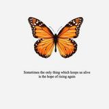 (Category: ) located in . Submitted by butterfly_cake (Listing ID 1380377329, Image 1). Description: .