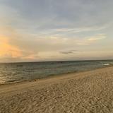 (Category: ) located in . Submitted by joanofcebu (Listing ID 1310718045, Image 1). Description: .