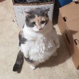 (Category: ) located in . Submitted by killerqueen95 (Listing ID 1360855557, Image 1). Description: .