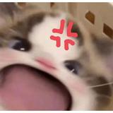 (Kategori: ) berada di . Dikirim oleh who.dat.b (ID iklan 1195385423, Gambar 1). Deskripsi: .