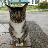 (Category: ) located in . Submitted by DigitalLife (Listing ID 1380641368, Image 1). Description: .