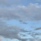 (Category: ) located in . Submitted by Leo2234 (Listing ID 1454132709, Image 1). Description: .