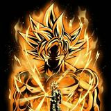 （分類：）位於 。 由 Pogo_dokkan_dblegendstore 提交（商品編號 1301064869，圖片 1）。簡介： 。
