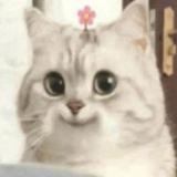 由 dct.0610 (刊登 ID 1384611822，圖片 1) 提交，位於 的 (類別：)，說明：。