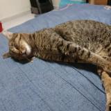 (Category: ) located in . Submitted by iristay28 (Listing ID 1383171806, Image 1). Description: .