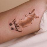 (Category: ) located in . Submitted by lannaberry (Listing ID 1358902070, Image 1). Description: .