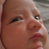 (Category: ) located in . Submitted by mamasthings (Listing ID 1360048771, Image 1). Description: .
