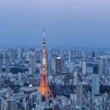 （分類：）位於 。 由 jp_hk_2024 提交（商品編號 1381744613，圖片 1）。簡介： 。