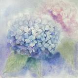 （分類：）位於 。 由 dunshe 提交（商品編號 1226221031，圖片 1）。簡介： 。