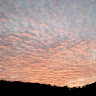 (Category: ) located in . Submitted by sonakshi288 (Listing ID 1380979543, Image 1). Description: .