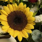 (Category: ) located in . Submitted by LJH11 (Listing ID 1371007757, Image 1). Description: .