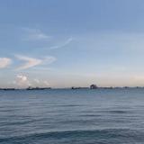 (Category: ) located in . Submitted by Tan_22 (Listing ID 1384490628, Image 1). Description: .