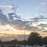 (Category: ) located in . Submitted by artlovers13-36227 (Listing ID 1386047769, Image 1). Description: .
