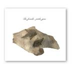 （分類：）位於 。 由 be_fossils_with_you 提交（商品編號 1175212635，圖片 1）。簡介： 。