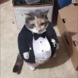 (Category: ) located in . Submitted by marcuschua.4 (Listing ID 1189339622, Image 1). Description: .