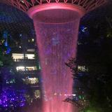 (Category: ) located in . Submitted by tcgal (Listing ID 1378936456, Image 1). Description: .