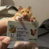 (Category: ) located in . Submitted by awwstinx (Listing ID 1440613168, Image 1). Description: .
