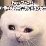 由 choco1103 (刊登 ID 1373781358，圖片 1) 提交，位於 的 (類別：)，說明：。