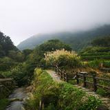 (Category: ) located in . Submitted by dongbang00 (Listing ID 1311310815, Image 1). Description: .