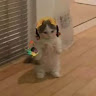 (Category: ) located in . Submitted by iloveraze (Listing ID 1383777984, Image 1). Description: .