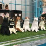 (Category: ) located in . Submitted by cat.alyst (Listing ID 1321197889, Image 1). Description: .