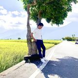 由 wing7113 (刊登 ID 1382060403，圖片 1) 提交，位於 的 (類別：)，說明：。