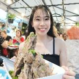 (Category: ) located in . Submitted by jiaxingchua95 (Listing ID 1385382380, Image 1). Description: .