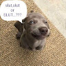 (Category: ) located in . Submitted by litchy666 (Listing ID 1362486982, Image 1). Description: .