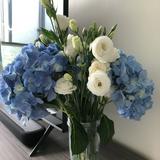 （分類：）位於 。 由 wongmanshan 提交（商品編號 1368997232，圖片 1）。簡介： 。