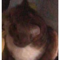 (分類:)位於 。 由 kimyiu11 提交(商品編號 1401595827,圖片 1)。簡介: 。