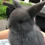 (分類:)位於 。 由 shaoo.8 提交(商品編號 1439667122,圖片 1)。簡介: 。