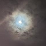 (Category: ) located in . Submitted by asydump (Listing ID 1357389480, Image 1). Description: .