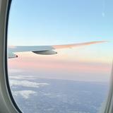 (Category: ) located in . Submitted by xasparagus (Listing ID 1220030256, Image 1). Description: .