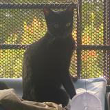 (Category: ) located in . Submitted by chhhhhester (Listing ID 1385969751, Image 1). Description: .