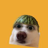 (Category: ) located in . Submitted by jlnxd (Listing ID 1461700054, Image 1). Description: .