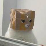 （分類：）位於 。 由 cyy0301 提交（商品編號 1371027491，圖片 1）。簡介： 。